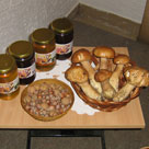slika01